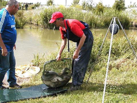 Weighing in Ray Cook's catch of 48lb 4oz